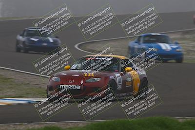 media/Jan-17-2026-CalClub SCCA (Sat) [[6b87d8fe28]]/Qual 3/Turn 3/